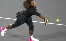 Thêm Serena rút khỏi Giải Úc mở rộng 2018
