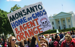​GMO và cuộc tranh luận chưa kết thúc
