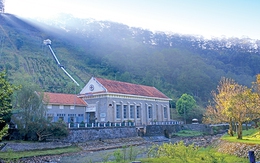 ​Dấu xưa Ankroët
