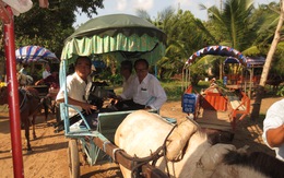 Về Bến Tre đi xe ngựa ăn kẹo dừa