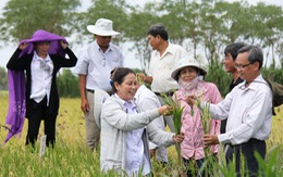 Hội thảo của “nhà khoa học chân đất”