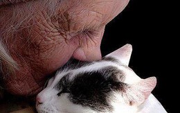 Dân số lão hóa và những cảnh báo trước mắt