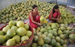 Cần có cách nhìn khác về nông nghiệp