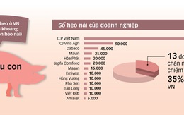 Thị trường thịt heo: Dễ đẩy giá lên, khó kéo giá xuống ?