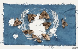 Liên Hiệp Quốc: Hình ảnh một thế giới phân cực
