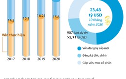 Đón sóng FDI: Nạc và xương