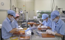 Làn sóng chuyển dịch FDI: Thêm cơ hội cho lao động trẻ