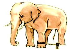 Bên ngoài