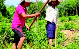 Công nhân trong “cơn bão COVID-19”