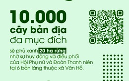 Lá phiếu cộng đồng cho dự án phục hồi rừng