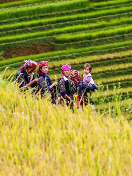 Vịnh Hạ Long, Mù Cang Chải vào top điểm đến rực rỡ nhất thế giới