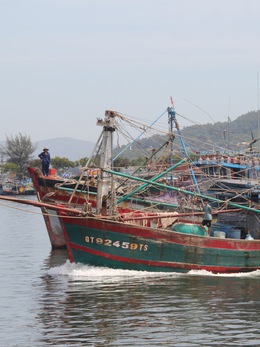 Đà Nẵng cấm biển, lo phương án đối phó ngập và sạt lở đất do bão Trà Mi