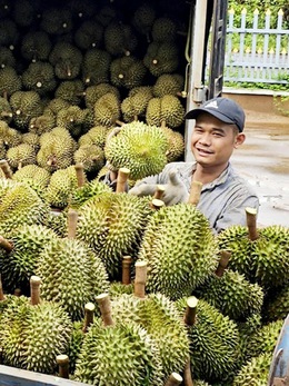 Nông sản Việt hứa hẹn tiếp tục rộng đường sang Trung Quốc