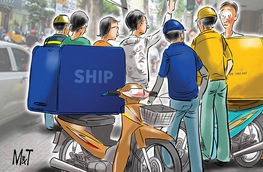 Shipper rối não với ma trận số nhà