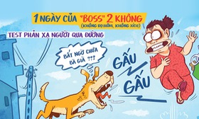 Chó thả rông: Một ngày của boss 'hai không'