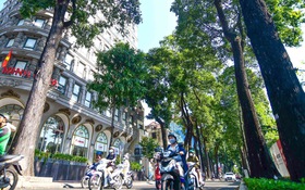Kỳ 6: Nguyễn Đình Chiểu - con đường hai sắc màu thành phố