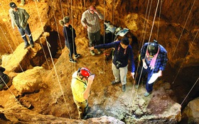 Hóa thạch trong hang và bước chân tổ tiên