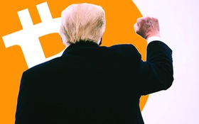 Bầu cử Mỹ: Lợi thế của ông Trump & làn sóng bí ẩn trên sàn crypto