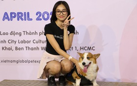 Corgi mũm mĩm thi marathon, nhiều chú quên cả chạy