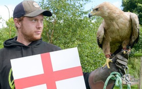 ‘Đại bàng tiên tri Honey’ dự đoán tuyển Anh thắng đậm Slovakia