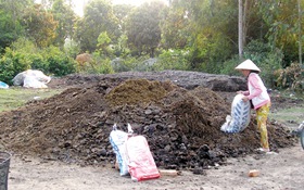 Chợ phân bò!