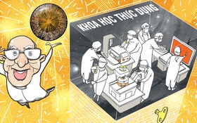 Thông điệp của Higgs