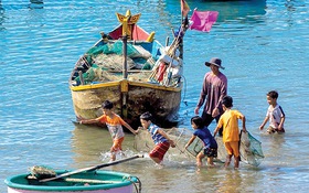 Ăn Tết nơi rừng giáp biển