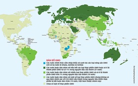 ​Khi Monsanto dễ dàng trở lại Việt Nam