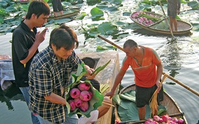 ​Giọt mưa còn trên lá sen