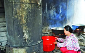 LÁ RỪNG LÊN NGÔI