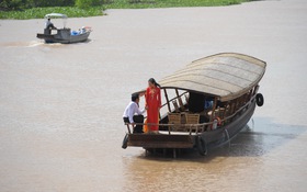 Làm "lục bình trôi" trên sông 