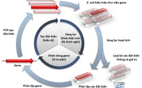 Nobek Hóa học 2018: Tìm hiệu quả từ những điều đơn giản