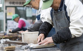 Người cao tuổi tham gia lao động: Chuyện của Nhật Bản khác gì chuyện của Việt Nam?