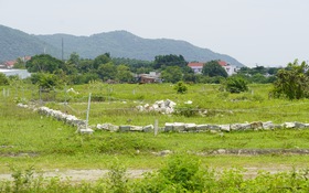 Sculpture today: một dòng chảy khác của điêu khắc