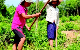 Công nhân trong “cơn bão COVID-19”