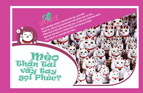 Vì sao mèo thần tài vẫy tay gọi phúc?