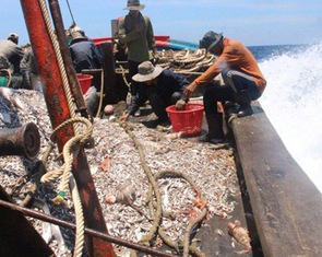 Việt Nam mong EU sớm gỡ thẻ vàng với thủy hải sản