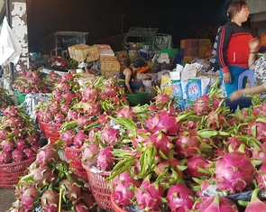 Chợ dịp Tết Đoan Ngọ hút hàng, giá trái cây tăng sốc