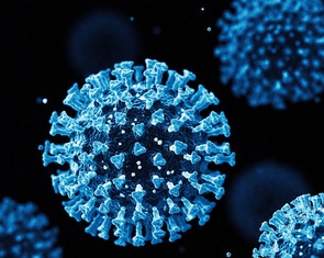 Các nhà khoa học Bỉ khám phá ra cách ngăn ngừa virus SARS-CoV-2