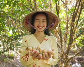 Về Cần Thơ nhớ thăm vườn dâu Hạ Châu thơm ngọt
