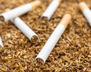 WHO: Ngành công nghiệp thuốc lá gây ô nhiễm khủng khiếp mà ít người biết