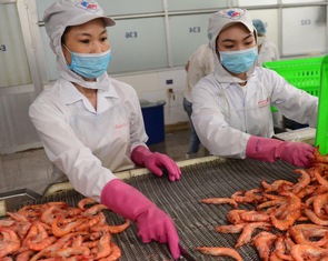 Sáu tháng đầu năm, xuất khẩu cá tôm đạt gần 6 tỉ USD