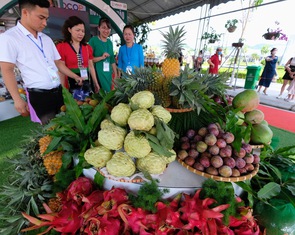8 tháng đầu năm Việt Nam có 7 loại nông sản đạt giá trị xuất khẩu trên 2 tỉ USD