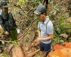Kỷ luật 16 lãnh đạo ngành lâm nghiệp Kon Tum để mất rừng
