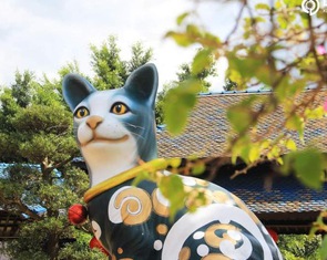 Chú mèo Lâm Đồng tham gia cuộc đua linh vật của năm