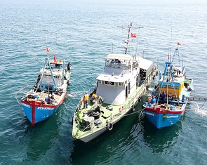 Cơ hội gỡ 'thẻ vàng' cho thủy sản Việt
