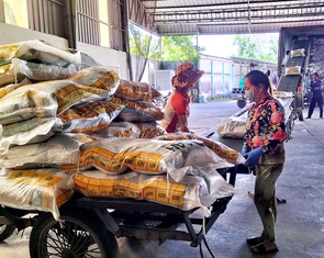 'Cha đẻ' gạo ST25: Giá gạo Việt đang cao nhất thế giới thì nên tranh thủ xuất khẩu nhiều