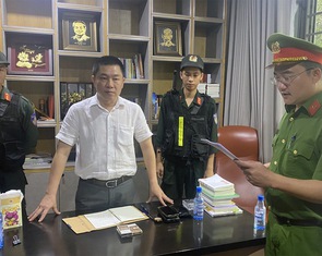 Xây gần 500 căn nhà trái phép ở Đồng Nai: Khởi tố, bắt giam chủ tịch HĐQT Công ty LDG