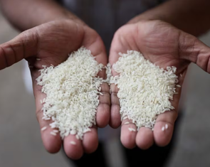 Lãnh đạo Hiệp hội các nhà xuất khẩu gạo Thái nói bán tốt nhờ... Việt Nam