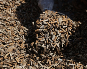 Tàn thuốc và bao bì thuốc lá gây thiệt hại 26 tỉ USD mỗi năm